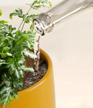 Load image into Gallery viewer, Mustard stand:all