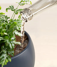 Load image into Gallery viewer, Deep Navy stand:all