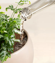 Load image into Gallery viewer, Desert Brown stand:all