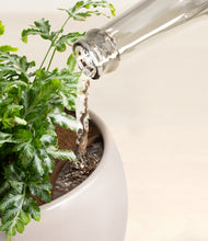 Load image into Gallery viewer, Winter Clouds stand:all