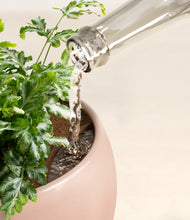 Load image into Gallery viewer, Calm Rose stand:all