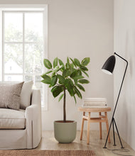 Lade das Bild in den Galerie-Viewer, Sage Green
