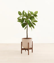 Lade das Bild in den Galerie-Viewer, Sandy Pink stand:walnut