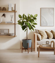 Lade das Bild in den Galerie-Viewer, Iron Gray stand:walnut