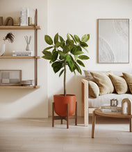 Lade das Bild in den Galerie-Viewer, Earth Red stand:walnut