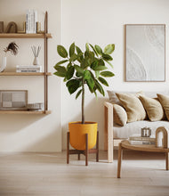 Lade das Bild in den Galerie-Viewer, Sunset Orange stand:walnut