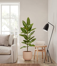 Load image into Gallery viewer, Sandy Pink