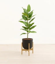 Load image into Gallery viewer, Stone Black stand:bamboo