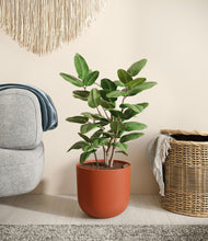 Load image into Gallery viewer, Earth Red