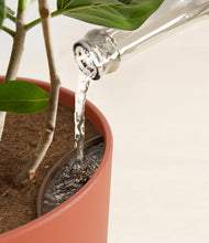 Load image into Gallery viewer, Earth Red stand:all