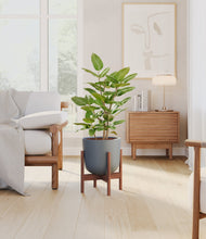 Load image into Gallery viewer, -