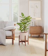 Load image into Gallery viewer, -