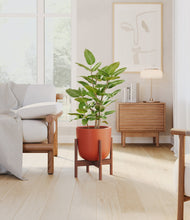 Load image into Gallery viewer, -