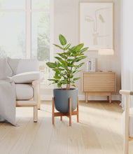 Load image into Gallery viewer, -