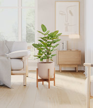 Load image into Gallery viewer, -