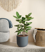 Load image into Gallery viewer, Iron Gray