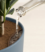 Load image into Gallery viewer, Iron Gray stand:all