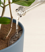 Load image into Gallery viewer, Iron Gray stand:all