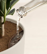 Load image into Gallery viewer, Natural Bamboo stand:all