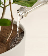 Load image into Gallery viewer, Natural Bamboo stand:all