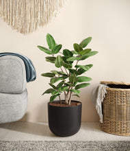 Load image into Gallery viewer, Stone Black