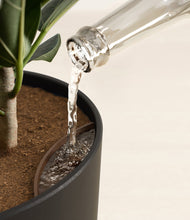 Load image into Gallery viewer, Stone Black stand:all