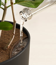 Load image into Gallery viewer, Stone Black stand:all