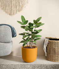 Load image into Gallery viewer, Sunset Orange