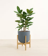 Load image into Gallery viewer, Iron Gray stand:bamboo