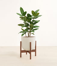 Load image into Gallery viewer, Natural Bamboo stand:walnut