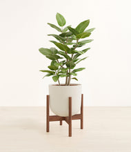 Load image into Gallery viewer, -