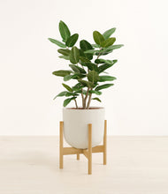 Load image into Gallery viewer, Natural Bamboo stand:bamboo