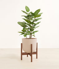 Load image into Gallery viewer, -