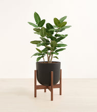 Load image into Gallery viewer, Stone Black stand:walnut