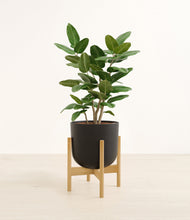 Load image into Gallery viewer, Stone Black stand:bamboo