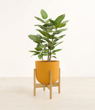 Load image into Gallery viewer, -