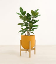 Load image into Gallery viewer, Sunset Orange stand:bamboo