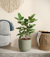 Load image into Gallery viewer, Sage Green