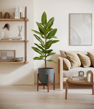 Load image into Gallery viewer, Iron Gray stand:walnut