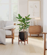 Load image into Gallery viewer, Stone Black stand:walnut