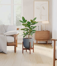 Load image into Gallery viewer, Iron Gray stand:walnut