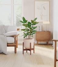 Load image into Gallery viewer, Sandy Pink stand:walnut