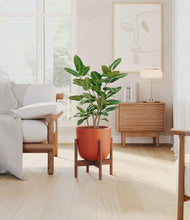Load image into Gallery viewer, Earth Red stand:walnut
