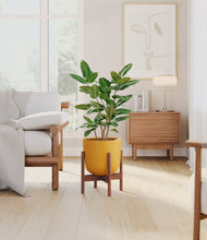 Load image into Gallery viewer, Sunset Orange stand:walnut