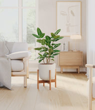 Load image into Gallery viewer, Natural Bamboo stand:bamboo