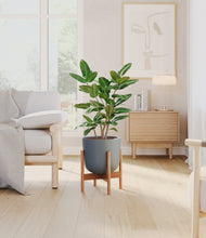 Load image into Gallery viewer, Iron Gray stand:bamboo