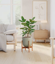 Load image into Gallery viewer, Sage Green stand:bamboo