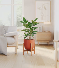 Load image into Gallery viewer, Earth Red stand:bamboo