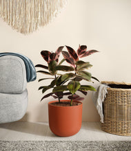 Load image into Gallery viewer, Earth Red