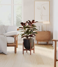 Load image into Gallery viewer, Stone Black stand:walnut